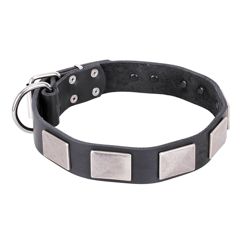 Doncella tugurio orar Collar negro perro exclusivo con placas metálicas «Sabueso poderoso» - C83